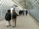 photo of people walking through a glass tunnel